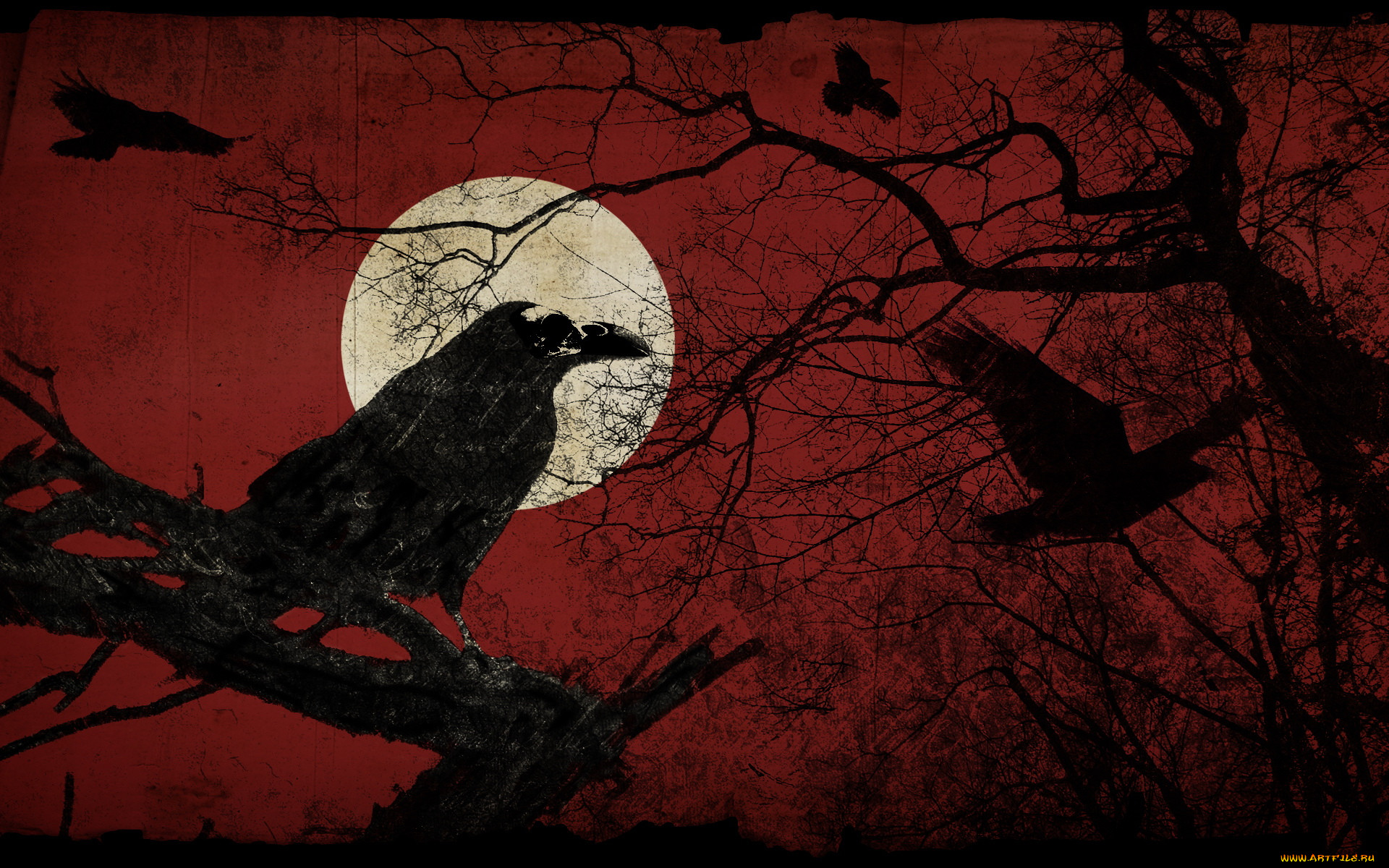 Чёрные вороны красное дерево, Гио пика